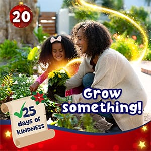 Day 20: grow something