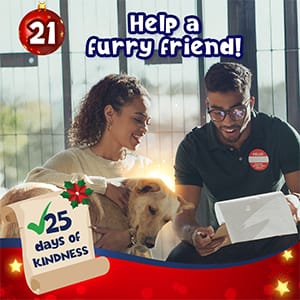 Day 21: help a furry friend